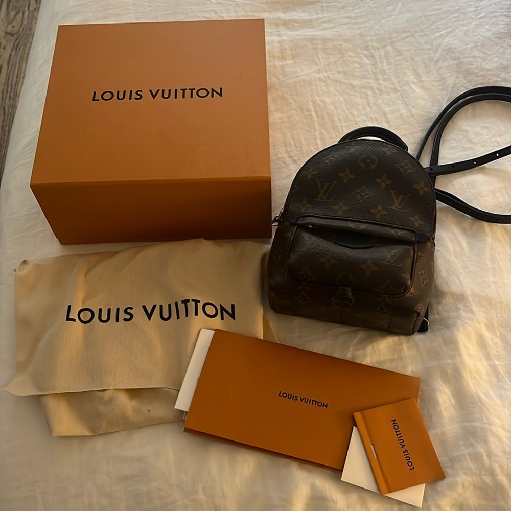 Louis Vuitton Palm Springs Mini Backpack - Picture 2 of 10